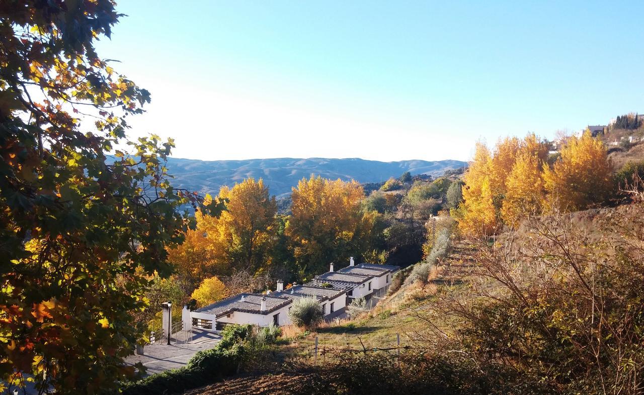 Turismo Rural & Spa El Cercado Берчулес Экстерьер фото